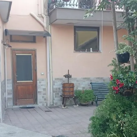 Casa David